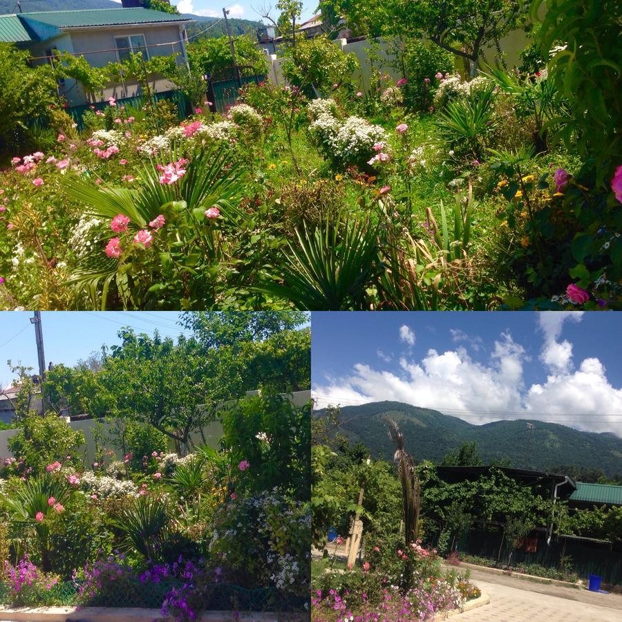 Inn Aхчыпсы Gagra Kültér fotó